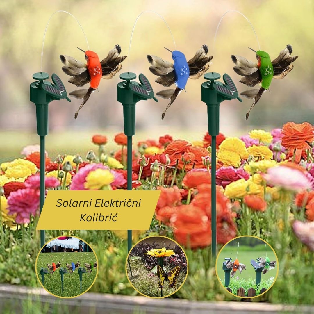 Solarni Električni Kolibrić