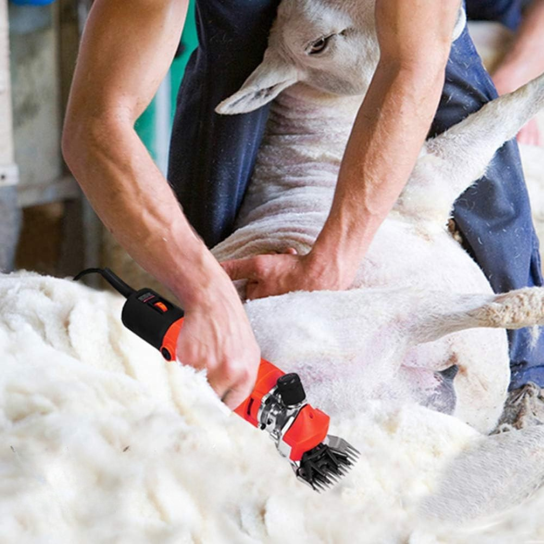 Električni šišač za ovce