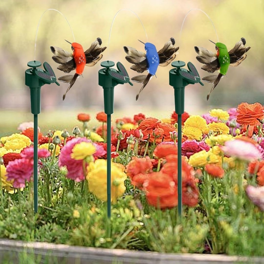 Solarni Električni Kolibrić