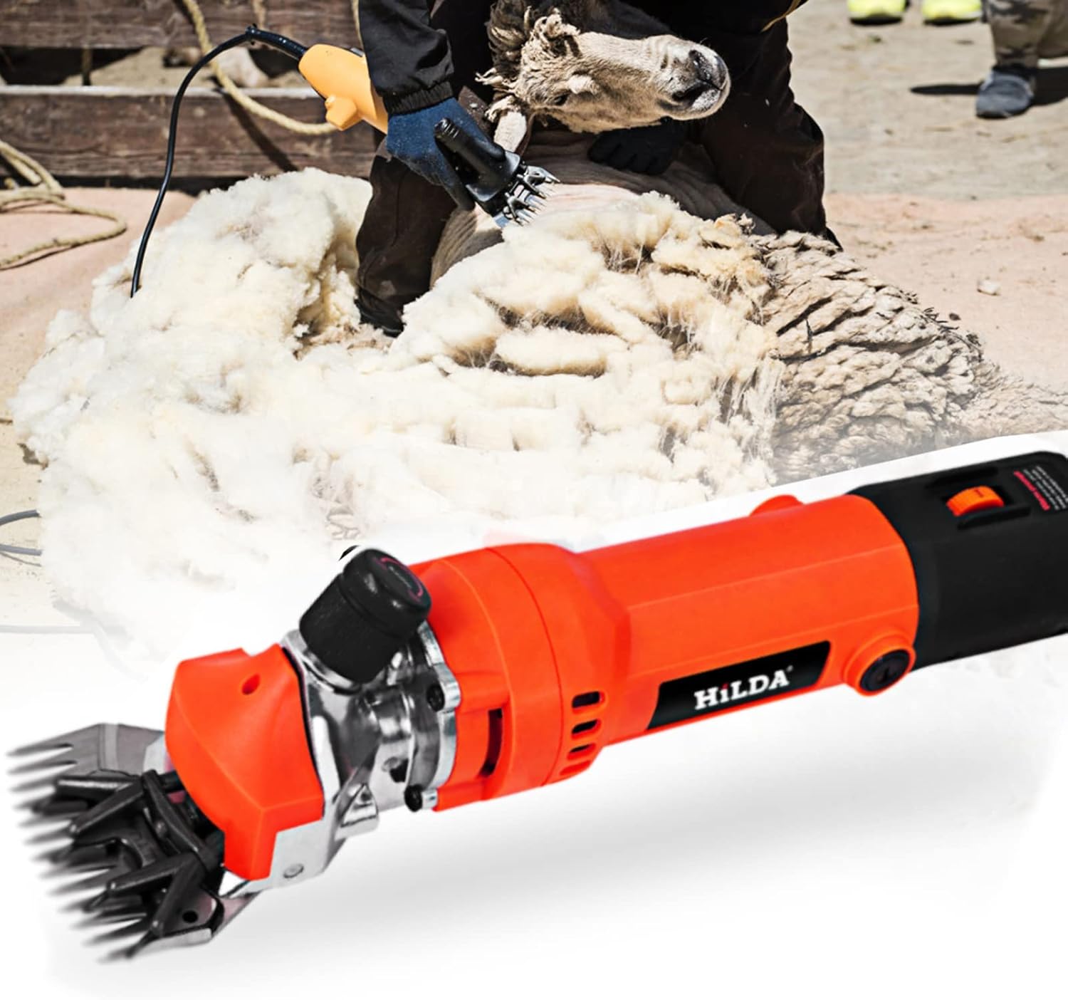 Električni šišač za ovce